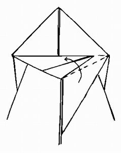 Katydid airplane: 9. Fold the right flap up the same way.