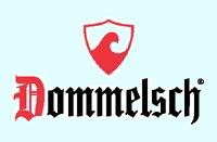 Het eerste weblog uit Dommelen